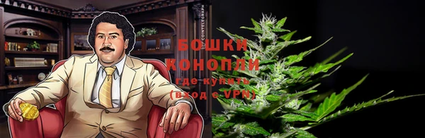 гидра Володарск