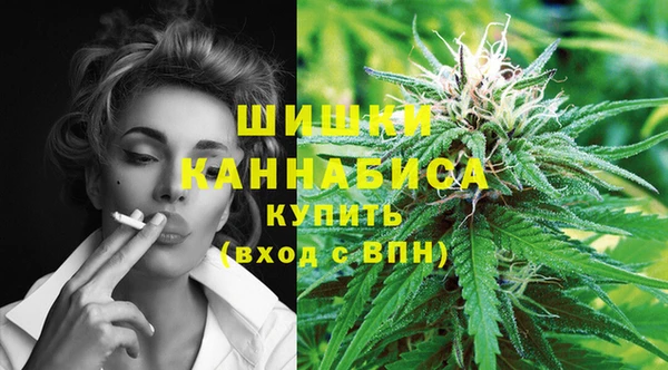 гидра Володарск
