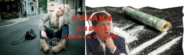 гидра Володарск