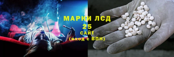 гидра Володарск