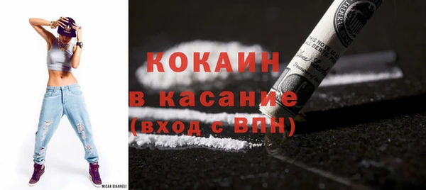 гидра Володарск