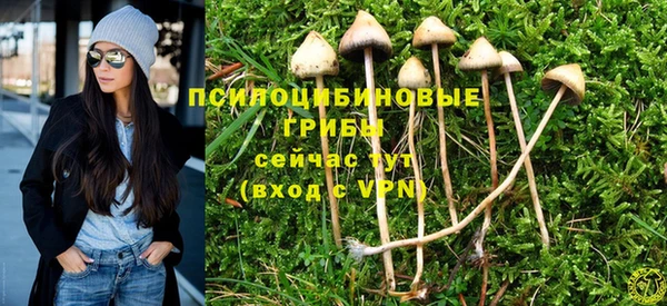 гидра Володарск