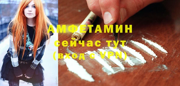 гидра Володарск