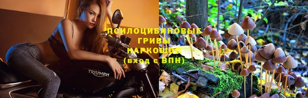 гидра Володарск