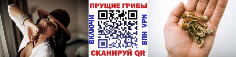 Галлюциногенные грибы прущие грибы  Купить где  Кропоткин 